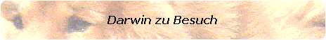 Darwin zu Besuch