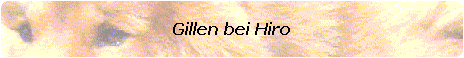 Gillen bei Hiro