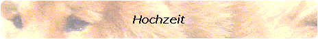 Hochzeit