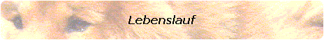Lebenslauf