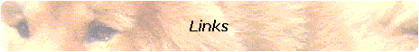 Links